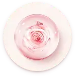Rose Essential Flora infuses hydration and soothes skin sensitivity