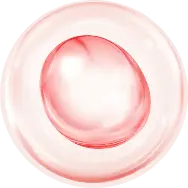 CoQ10
